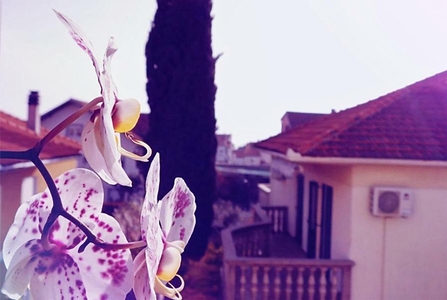 Luciana Διαμέρισμα Ζαντάρ Εξωτερικό φωτογραφία