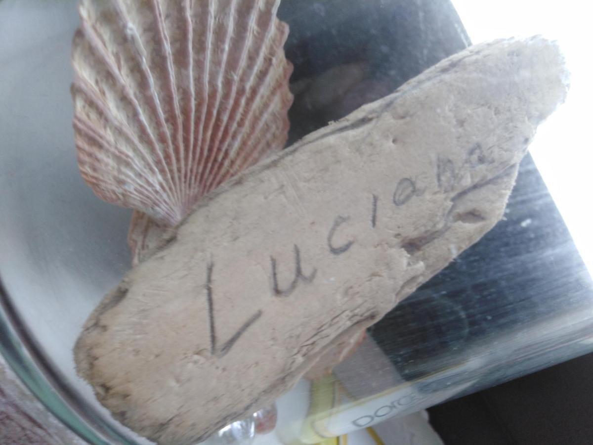 Luciana Διαμέρισμα Ζαντάρ Εξωτερικό φωτογραφία